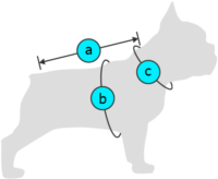 Kutyaruha - 3 testmérete
