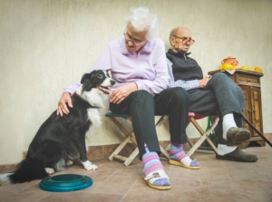 Az idős kutyatáp vagy senior kutyatáp a gondoskodás eleme