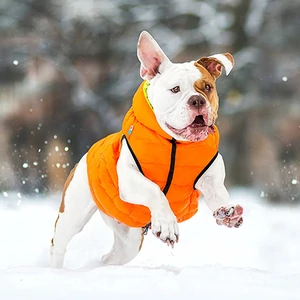 AiryVest kétoldalas kifordítható kutyaruha - orange/lightgreen S35
