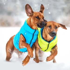 AiryVest kétoldalas kifordítható kutyaruha - lime/blue S40