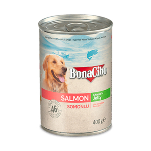 BonaCibo Salmon Chunks in Jelly, Adult - lazac - 400gr