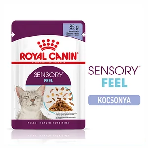 ROYAL CANIN Wet Sensory Feel Jelly - felnőtt nedves macskatáp - 12x85g