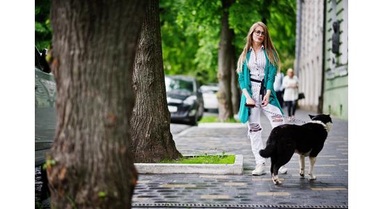 A városi kutyatartás előnyei és buktatói