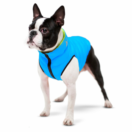 AiryVest kétoldalas kifordítható kutyaruha - lime/blue S30
