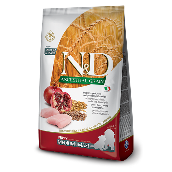 N&amp;D Ancestral Grain - csirke, tönköly, zab és gránátalma, puppy medium/maxi - 12kg