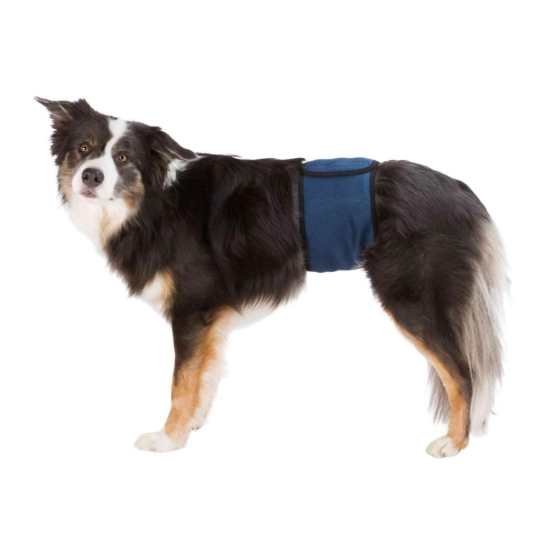 TRIXIE Belly inkontinencia öv kan kutyáknak - S-M / 37-45cm
