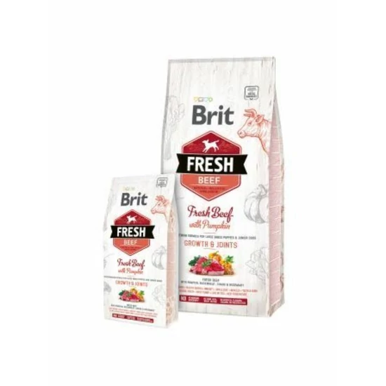 Szuper prémium Brit Fresh Beef Pumpkin nagytestű kölyökkutyának - 2.5kg