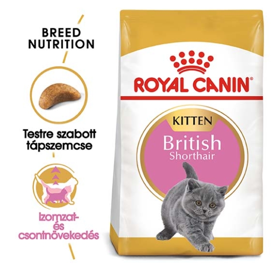 ROYAL CANIN British Shorthair Kitten - kölyök száraz macskatáp - 2kg