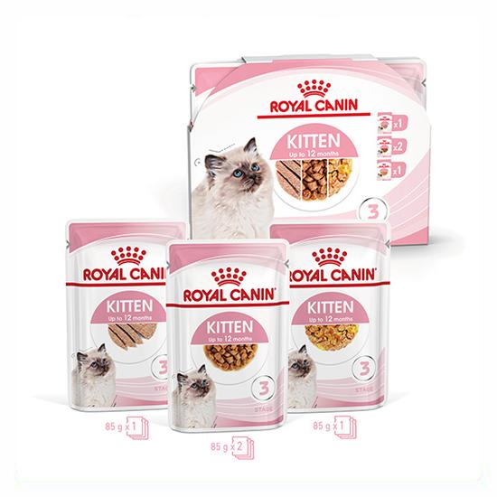 ROYAL CANIN Wet Kitten multipack mix - kölyök nedves macskatáp - 4x85g