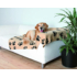 Trixie takaró kutyáknak 'Barney' bézs mintás - 150x100cm