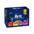 Brit Premium Cat Pouches Family Plate - felnőtt nedves macskatáp - 12x100g