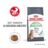 ROYAL CANIN Digestive Care - felnőtt száraz macskatáp - 2kg