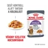 ROYAL CANIN Wet Appetite Control Jelly - felnőtt nedves macskatáp - 12x85g