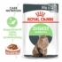 ROYAL CANIN Wet Digest Sensitive Gravy - felnőtt nedves macskatáp - 12x85g