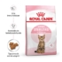 ROYAL CANIN Kitten Sterilised - kölyök száraz macskatáp - 2kg