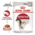 ROYAL CANIN Wet Instinctive Gravy - felnőtt nedves macskatáp - 12x85g