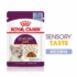 ROYAL CANIN Wet Sensory Taste Jelly - felnőtt nedves macskatáp - 12x85g