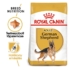 ROYAL CANIN GERMAN SHEPHERD ADULT - Németjuhász felnőtt száraz kutyatáp - 3kg