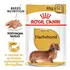 ROYAL CANIN WET DACHSHUND ADULT - Tacskó felnőtt nedves kutyatáp - 12x85g