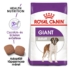ROYAL CANIN GIANT ADULT - felnőtt száraz kutyatáp - 15kg