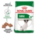 ROYAL CANIN MINI ADULT 8+ - felnőtt száraz kutyatáp - 8kg