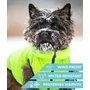 Kép 2/7 - AiryVest kétoldalas kifordítható kutyaruha - black/green S40