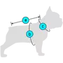 Kép 6/6 - Trixie Dog Raincoat Lunas esőkabát - méretvételi útmutató
