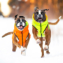Kép 1/10 - AiryVest kétoldalas kifordítható kutyaruha - orange/lightgreen XS 25