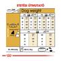 Kép 4/5 - ROYAL CANIN YORKSHIRE TERRIER ADULT - felnőtt száraz kutyatáp - 500g