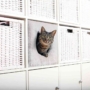 Kép 1/2 - Trixie Cuddly polcos bújó IKEA Kallax polcrendszerekhez macskáknak - szürke - 33x33x37cm