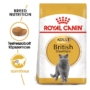 Kép 1/6 - ROYAL CANIN British Shorthair - felnőtt száraz macskatáp - 10kg