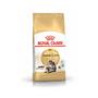 Kép 2/6 - ROYAL CANIN Maine Coon Adult
