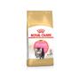 Kép 2/6 - ROYAL CANIN Persian Kitten
