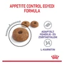Kép 2/8 - ROYAL CANIN Appetite Control Care - formula