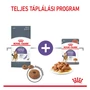 Kép 6/8 - ROYAL CANIN Appetite Control Care - vegyes etetés