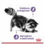 Kép 3/8 - ROYAL CANIN Appetite Control Care - előnyök
