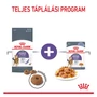 Kép 6/7 - ROYAL CANIN Wet Appetite Control Jelly - vegyes etetés