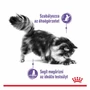 Kép 2/7 - ROYAL CANIN Wet Appetite Control Jelly - formula
