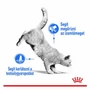 Kép 2/7 - ROYAL CANIN Wet Light Weight Gravy - formula