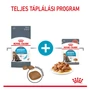 Kép 6/7 - ROYAL CANIN Wet Urinary Gravy - vegyes etetés