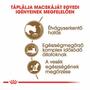 Kép 2/5 - ROYAL CANIN Ageing 12+ - formula