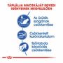 Kép 2/6 - ROYAL CANIN Indoor27 - formula