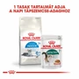 Kép 5/6 - ROYAL CANIN Indoor 7+ - vegyes etetés