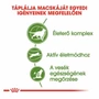 Kép 2/6 - ROYAL CANIN Outdoor 7+ - formula