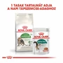 Kép 5/6 - ROYAL CANIN Outdoor 7+ - vegyes etetés