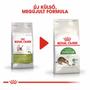 Kép 6/6 - ROYAL CANIN Outdoor - továbbfejlesztett formula - új csomagolás