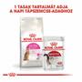 Kép 6/6 - ROYAL CANIN Protein Exigent - vegyes etetés