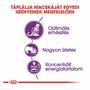 Kép 2/6 - ROYAL CANIN Sensible 33 - formula