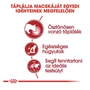 Kép 2/6 - ROYAL CANIN Wet Instinctive Gravy - formula