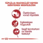 Kép 2/7 - ROYAL CANIN Wet Instinctive Jelly - formula